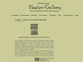 The Harlow Gallery
